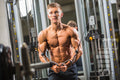 High-Performance Fat Loss Handbook